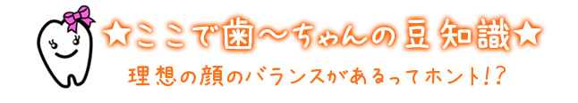 歯~ちゃんの豆知識